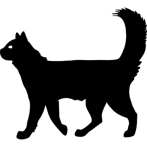 Katze Miniaturansicht